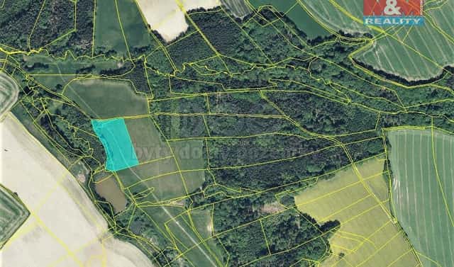 Prodej louky 1 365 m², Bačetín, okres Rychnov nad Kněžnou