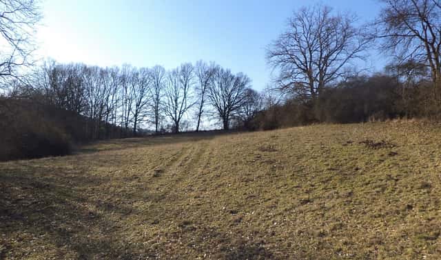 Prodej pole 7 345 m², Snědovice – Sukorady, okres Litoměřice