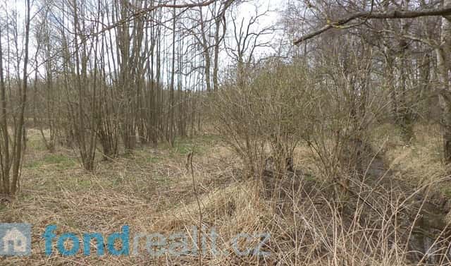 Prodej pozemku 19 035 m², Chlum u Třeboně – Lutová, okres Jindřichův Hradec