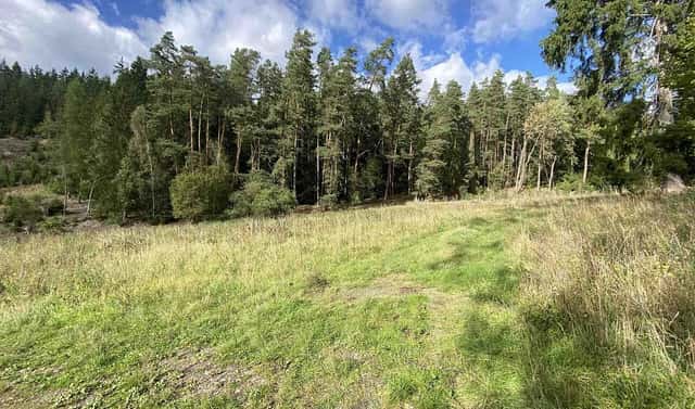 Prodej pole 7 068 m², Krsy, okres Plzeň-sever