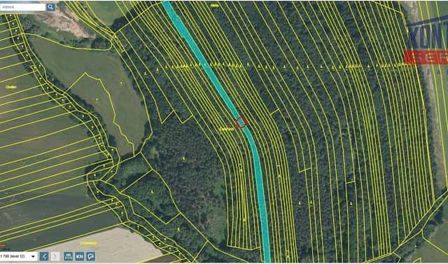 Prodej lesa 4 786 m², Janovice nad Úhlavou, okres Klatovy
