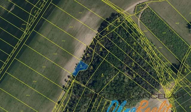 Prodej lesa 442 m², Dubňany, okres Hodonín