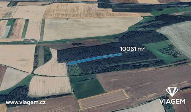 Prodej lesa 7 545 m², Nové Strašecí, okres Rakovník