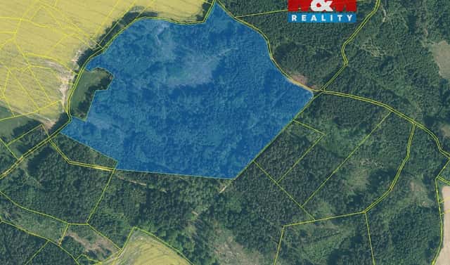 Prodej lesa 154 293 m², Milevsko – Klisín, okres Písek
