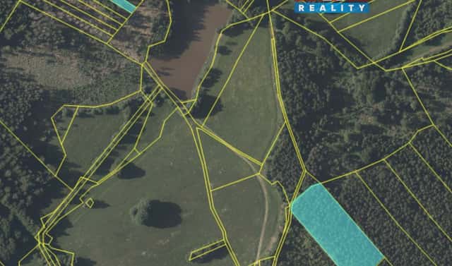 Prodej lesa 7 873 m², Mrákotín, okres Jihlava
