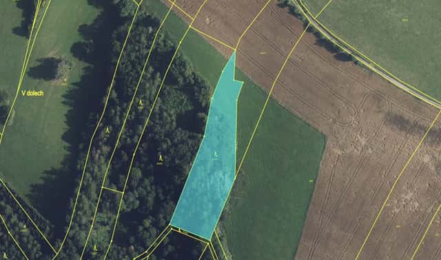 Prodej lesa 4 478 m², Zábřeh – Václavov, okres Šumperk