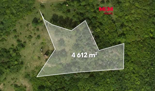 Prodej lesa 8 199 m², Libochovice – Dubany, okres Litoměřice