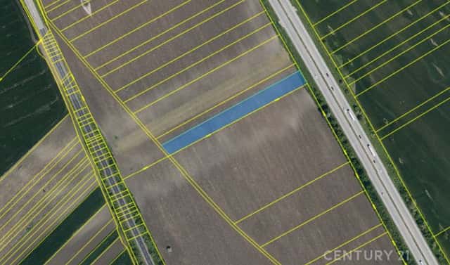 Prodej pole 7 205 m², Velké Pavlovice, okres Břeclav