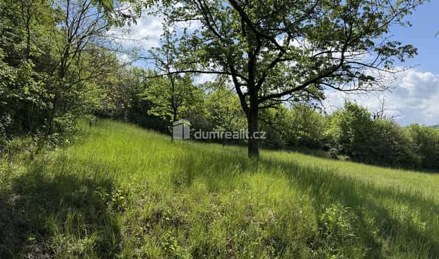 Prodej louky 5 056 m², Partyzánská, Uherské Hradiště – Míkovice