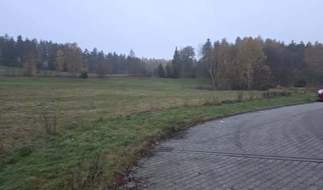 Prodej louky 6 229 m², Nová Role – Mezirolí, okres Karlovy Vary