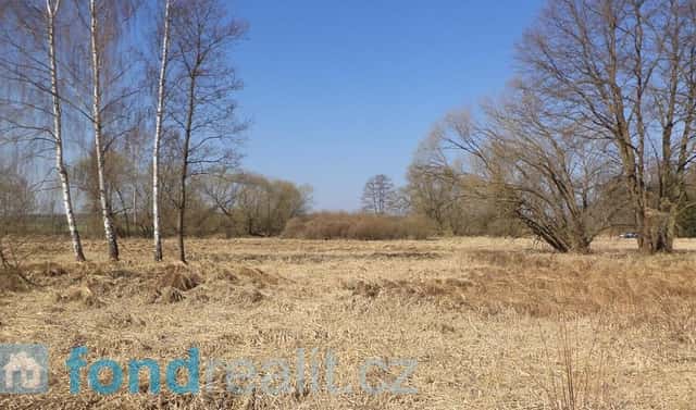 Prodej pozemku 4 593 m², Vesce – Čeraz, okres Tábor