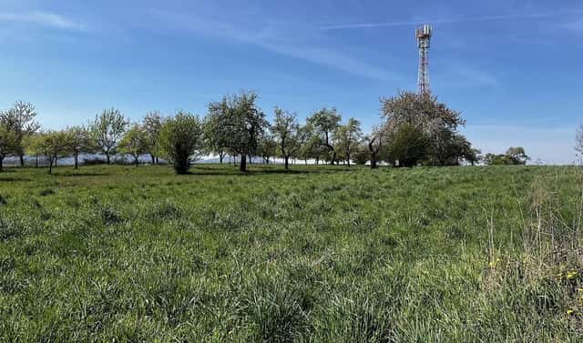 Pronájem pozemku 7 559 m², Horní Újezd, okres Přerov