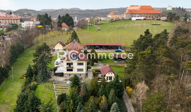 Prodej domu 270 m² s pozemkem 4 446 m², Zámecká, Dolní Kounice, okres Brno-venkov