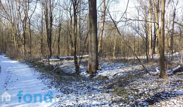 Prodej pozemku 3 575 m², Staré Město pod Landštejnem, okres Jindřichův Hradec