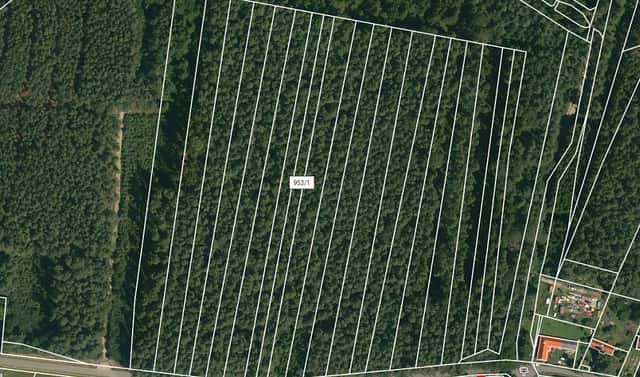 Prodej lesa 2 085 m², Dražíč, okres České Budějovice