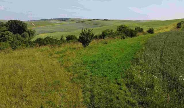 Prodej pole 3 134 m², Bučovice, okres Vyškov