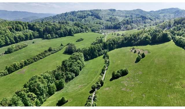 Prodej louky 7 411 m², Nový Jičín