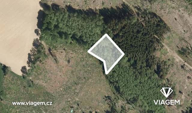 Prodej lesa 669 m², Chýstovice, okres Pelhřimov