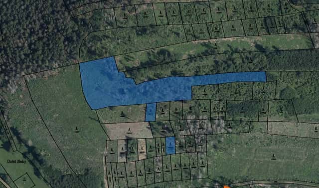 Prodej lesa 20 095 m², Radkovice u Budče, okres Třebíč