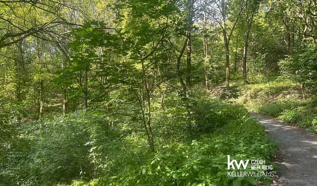 Prodej pozemku 22 760 m², Bílina, okres Teplice
