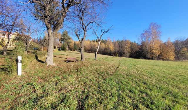 Prodej louky 6 834 m², Železný Brod – Bzí, okres Jablonec nad Nisou