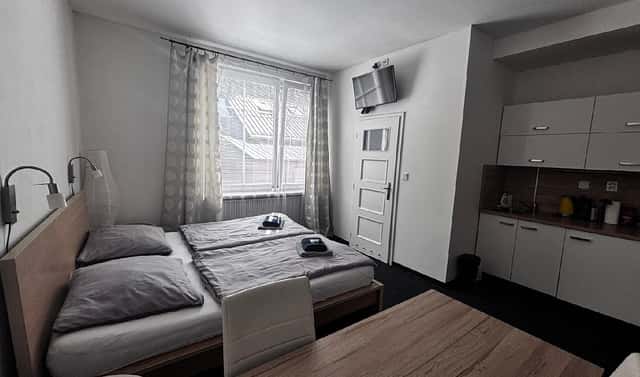 Pronájem bytu 1+kk 25 m², Zalužanského, Ostrava – Vítkovice, okres Ostrava-město