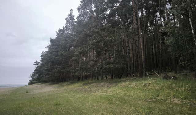 Prodej lesa 21 226 m², Konětopy, okres Praha-východ