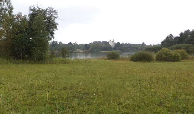 Prodej pozemku 2 593 m², Nová Bystřice, okres Jindřichův Hradec