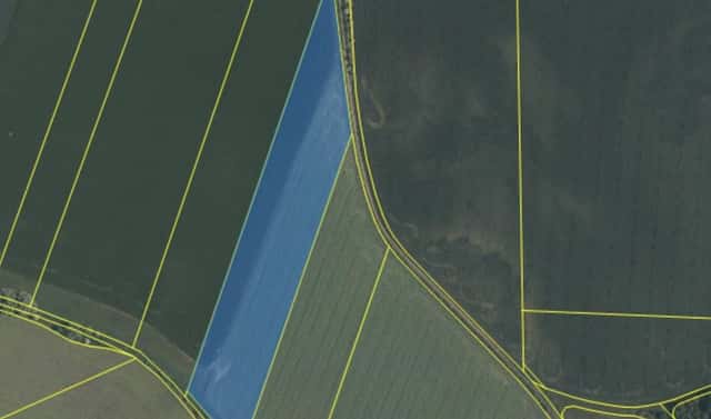 Prodej pole 46 442 m², Číčovice, okres Praha-západ