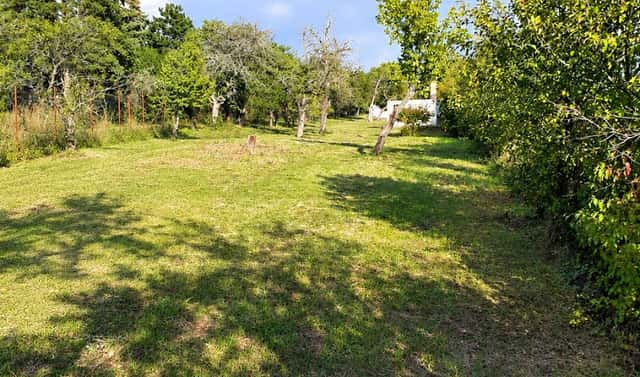 Prodej zahrady 2 114 m², Brno, okres Brno-město