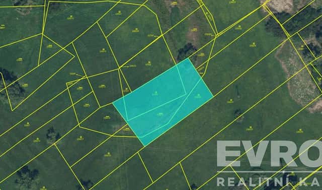 Prodej louky 4 496 m², Týniště nad Orlicí, okres Rychnov nad Kněžnou