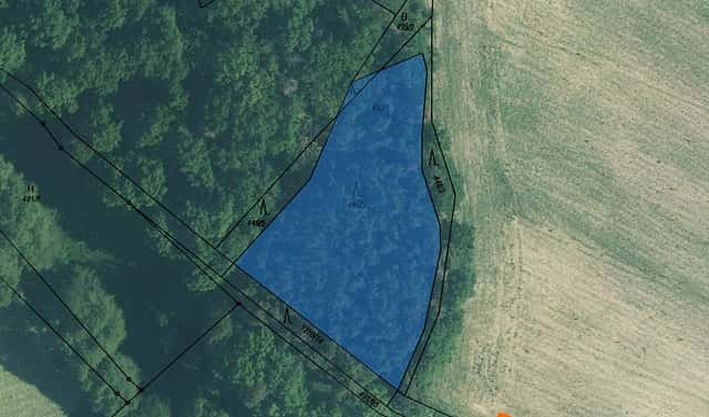 Prodej lesa 2 059 m², Líšťany, okres Plzeň-sever
