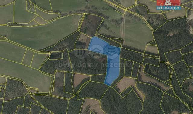 Prodej lesa 24 708 m², Přechovice, okres Strakonice
