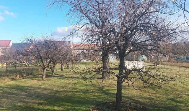 Prodej zahrady 1 080 m², Lidická, Olomouc – Nemilany