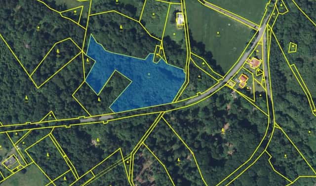 Prodej louky 8 315 m², Kořenov – Příchovice, okres Jablonec nad Nisou