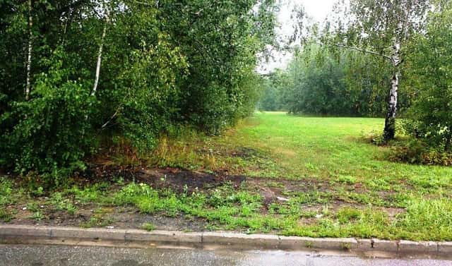 Prodej komerčního pozemku 6 000 m², Dolní Krčmy, Mohelnice, okres Šumperk