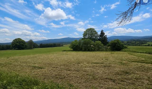 Prodej stavebního pozemku 2 165 m², Nová Pec, okres Prachatice