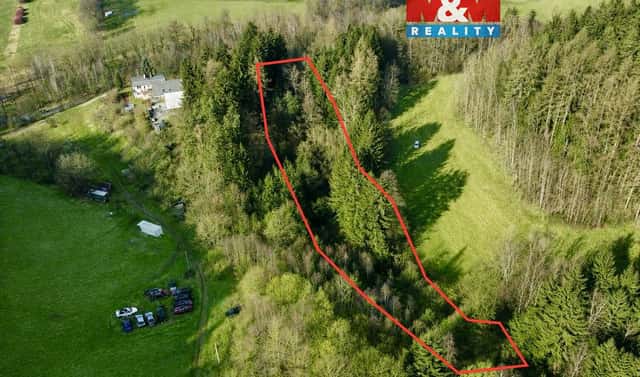 Prodej lesa 4 113 m², Dolní Dobrouč – Lanšperk, okres Ústí nad Orlicí