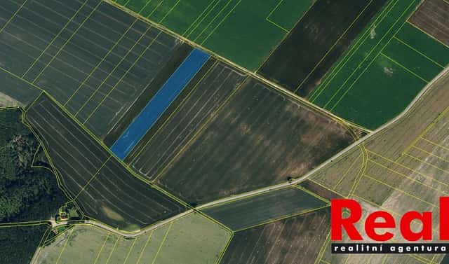 Prodej pole 23 551 m², Blížkovice, okres Znojmo