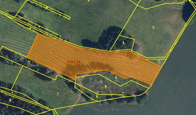 Prodej louky 45 665 m², Horní Studénky, okres Šumperk