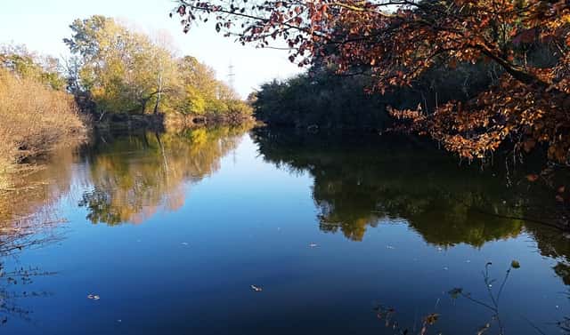 Prodej louky 5 838 m², Bulhary, okres Břeclav