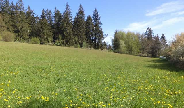Prodej pole 9 910 m², Mokrosuky, okres Klatovy