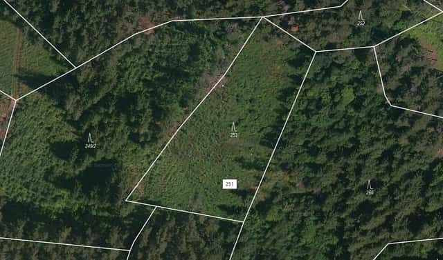 Prodej lesa 4 046 m², Přechovice, okres Strakonice