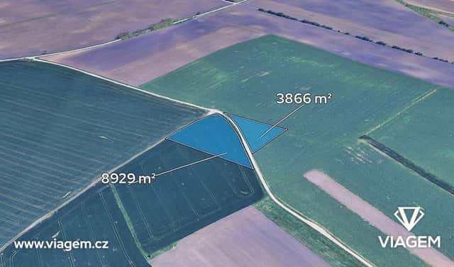 Prodej pole 2 132 m², Velké Němčice, okres Břeclav