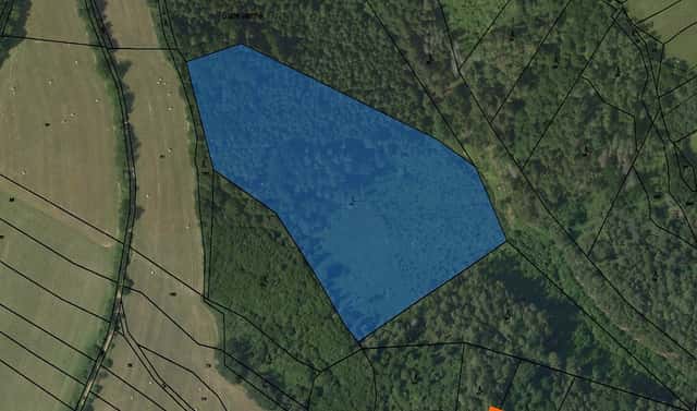 Prodej lesa 180 m², Tišnov, okres Brno-venkov