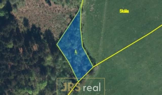 Prodej lesa 1 985 m², Liberk, okres Rychnov nad Kněžnou