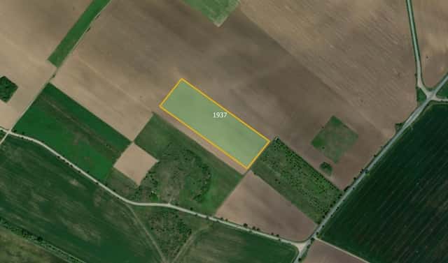 Prodej pole 25 300 m², Znojmo – Popice