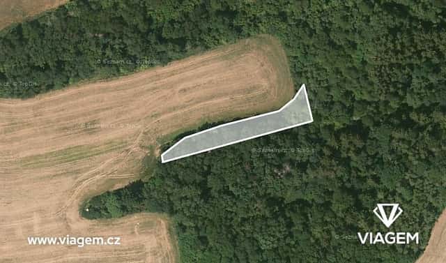 Prodej lesa 690 m², Pavlíkov, okres Rakovník