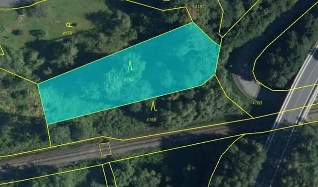 Prodej lesa 1 838 m², Mikulovice – Zbýšov, okres Jeseník