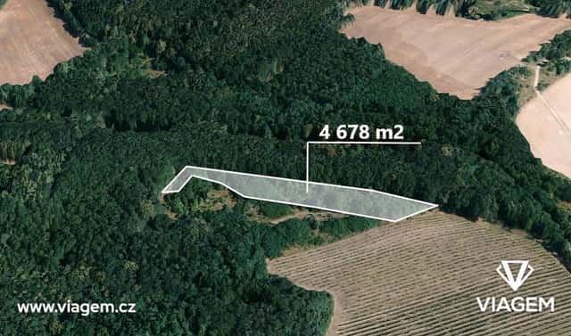 Prodej lesa 1 559 m², Dolní Kounice, okres Brno-venkov